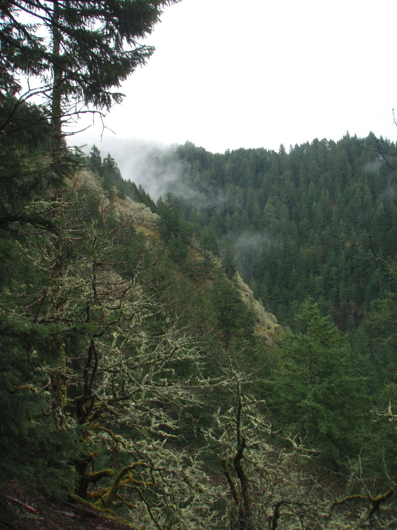 Ruckel Creek Canyon